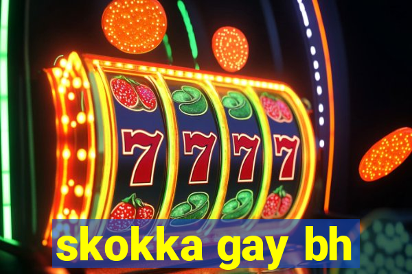 skokka gay bh